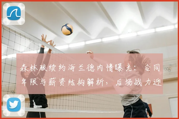 森林狼续约海兰德内情曝光：合同年限与薪资结构解析，后场战力迎来质变