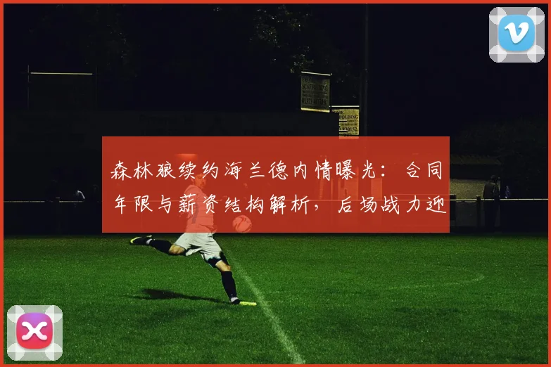 森林狼续约海兰德内情曝光：合同年限与薪资结构解析，后场战力迎来质变